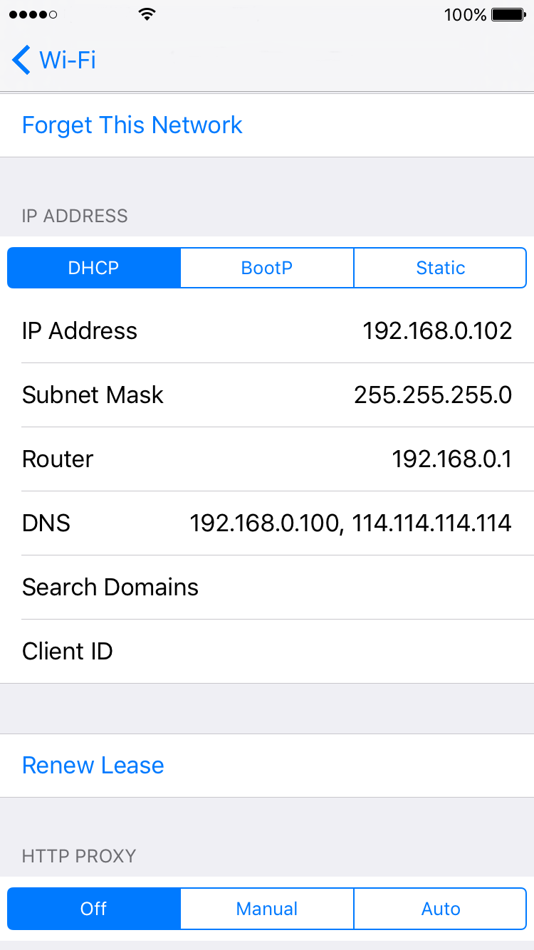 iOS Wi-Fi DNS